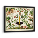 Tropical Botánica Tabla III - Meyers | Cuadro decorativo de Canvas Lab