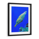 Nado diagonal | Cuadro decorativo de Canvas Lab