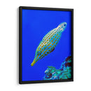 Nado diagonal | Cuadro decorativo de Canvas Lab