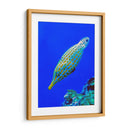 Nado diagonal | Cuadro decorativo de Canvas Lab