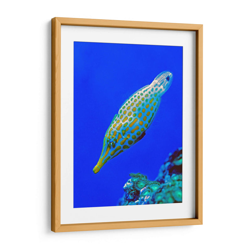 Nado diagonal | Cuadro decorativo de Canvas Lab