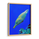 Nado diagonal | Cuadro decorativo de Canvas Lab