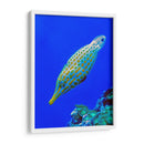 Nado diagonal | Cuadro decorativo de Canvas Lab