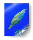 Nado diagonal | Cuadro decorativo de Canvas Lab