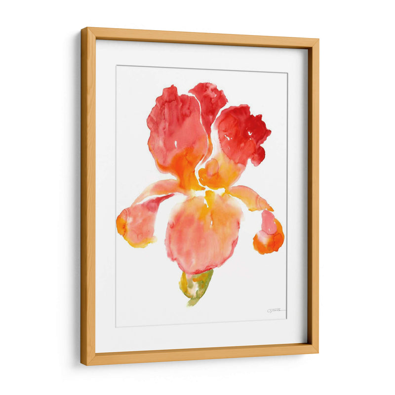 Sunset Blooms I - Tim OToole | Cuadro decorativo de Canvas Lab