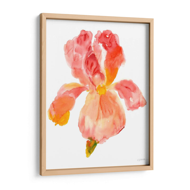 Sunset Blooms II - Tim OToole | Cuadro decorativo de Canvas Lab