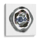 Meteorito II - Alicia Ludwig | Cuadro decorativo de Canvas Lab