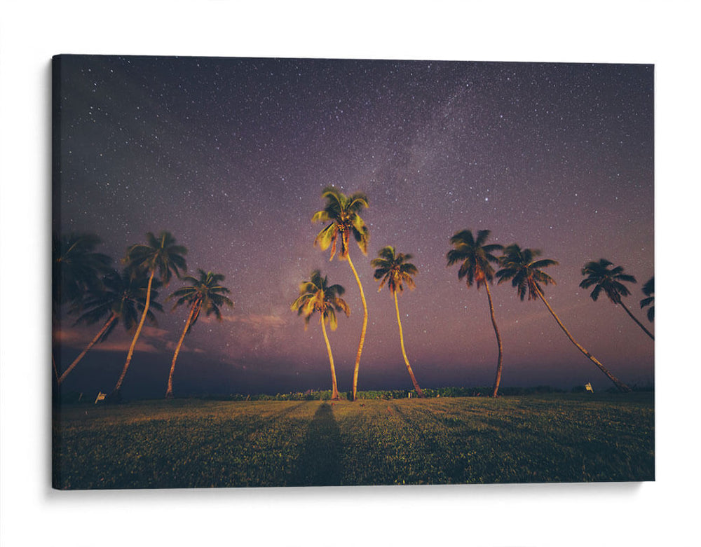 Noche estrellada con palmeras | Cuadro decorativo de Canvas Lab