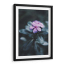 Nostalgia de una flor | Cuadro decorativo de Canvas Lab