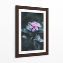 Nostalgia de una flor | Cuadro decorativo de Canvas Lab