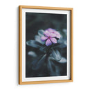 Nostalgia de una flor | Cuadro decorativo de Canvas Lab