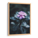 Nostalgia de una flor | Cuadro decorativo de Canvas Lab