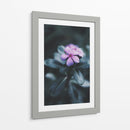 Nostalgia de una flor | Cuadro decorativo de Canvas Lab
