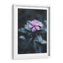 Nostalgia de una flor | Cuadro decorativo de Canvas Lab