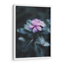 Nostalgia de una flor | Cuadro decorativo de Canvas Lab