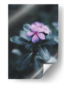 Nostalgia de una flor | Cuadro decorativo de Canvas Lab