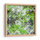 Cribadora En Estrella III - James Burghardt | Cuadro decorativo de Canvas Lab