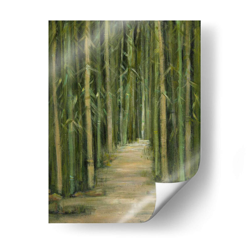 Bosque De Bambú - Beverly Crawford | Cuadro decorativo de Canvas Lab