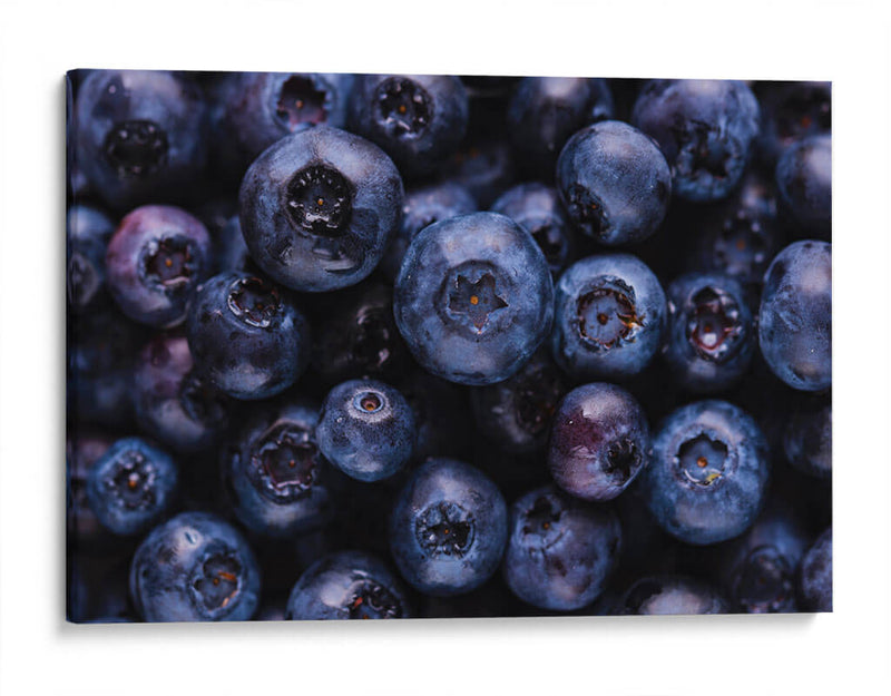 The blueberries | Cuadro decorativo de Canvas Lab