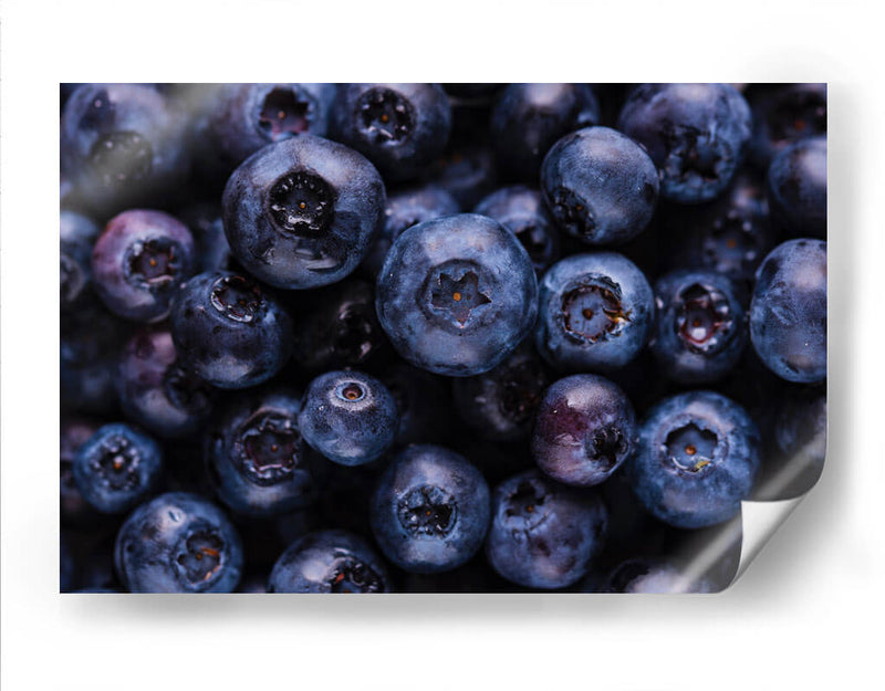 The blueberries | Cuadro decorativo de Canvas Lab