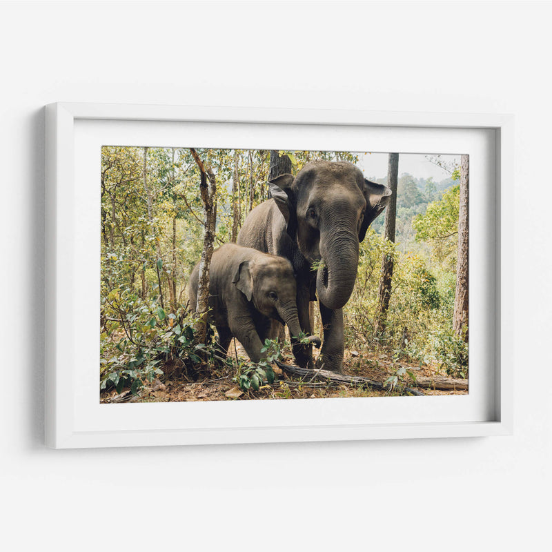 Elefantes, madre e hijo | Cuadro decorativo de Canvas Lab