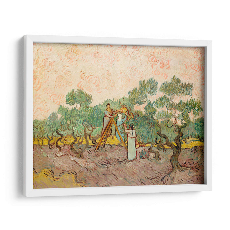 Mujeres recogiendo aceitunas - Vincent Van Gogh | Cuadro decorativo de Canvas Lab