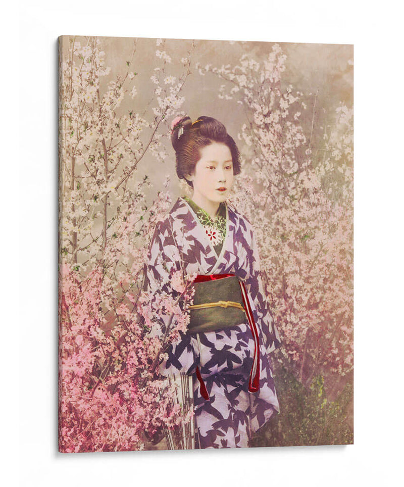 Una geisha y una flor de cerezo - Ogawa Kazumasa | Cuadro decorativo de Canvas Lab