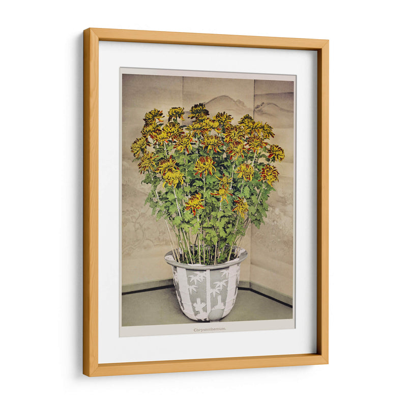 Crisantemos - I - Ogawa Kazumasa | Cuadro decorativo de Canvas Lab