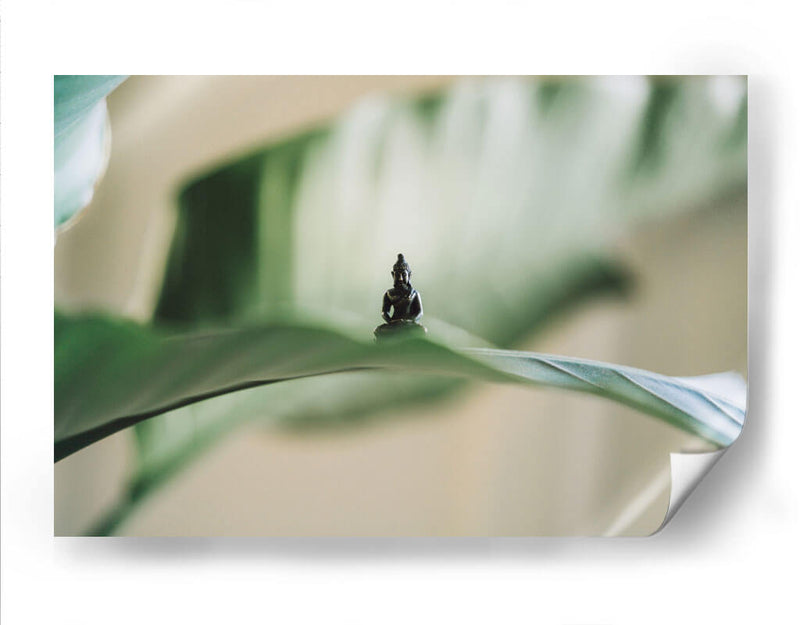 Buda sobre hoja | Cuadro decorativo de Canvas Lab