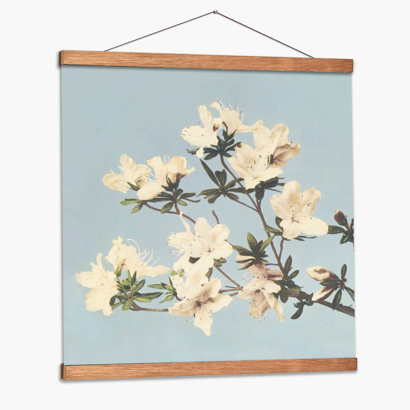 Azaleas japonesas vintage - Ogawa Kazumasa | Cuadro decorativo de Canvas Lab