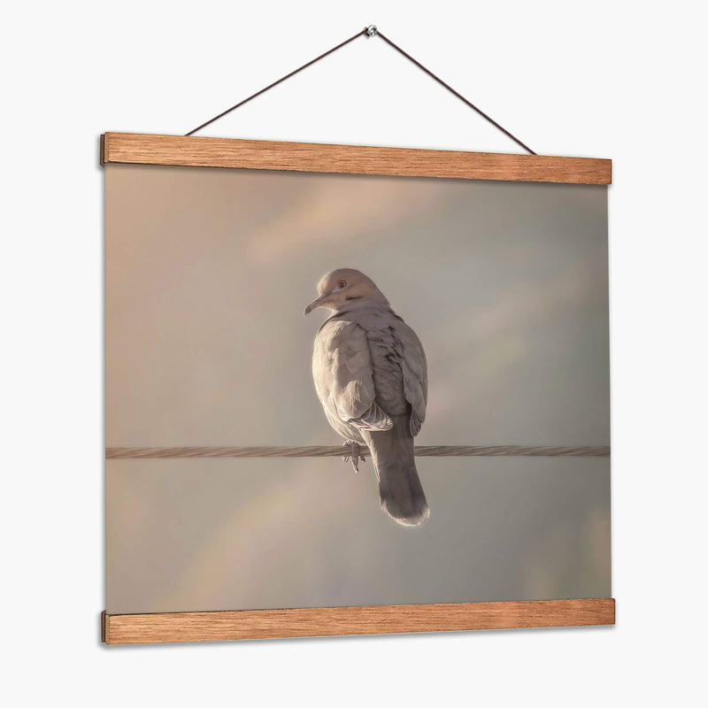 Pájaro al amanecer - Barán | Cuadro decorativo de Canvas Lab