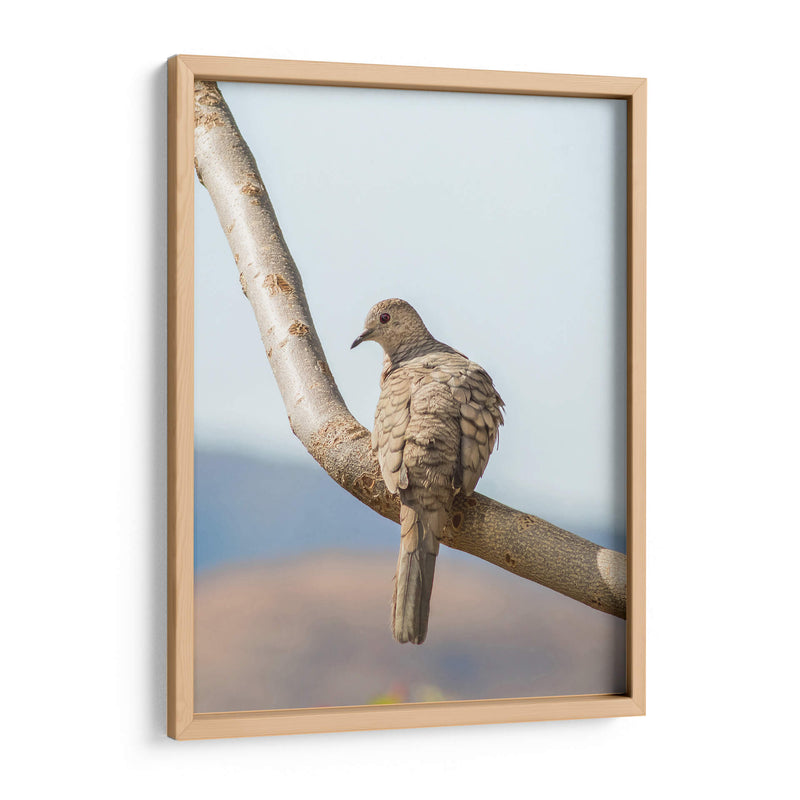 Pájaro en árbol - Barán | Cuadro decorativo de Canvas Lab