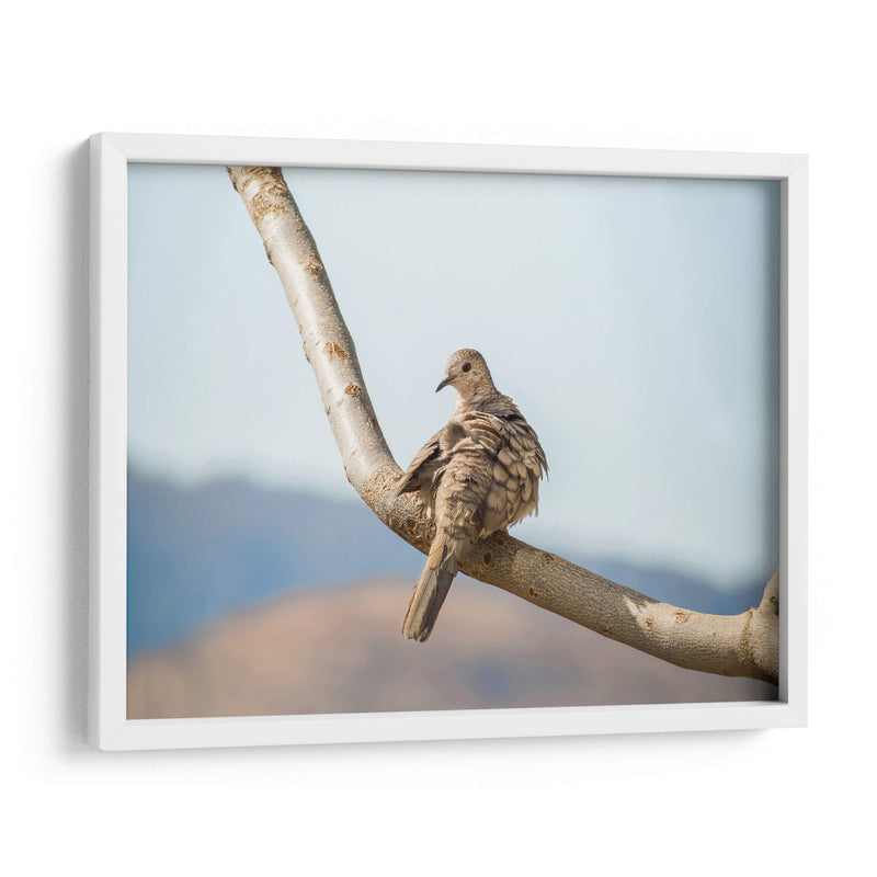 Pájaro en paisaje - Barán | Cuadro decorativo de Canvas Lab