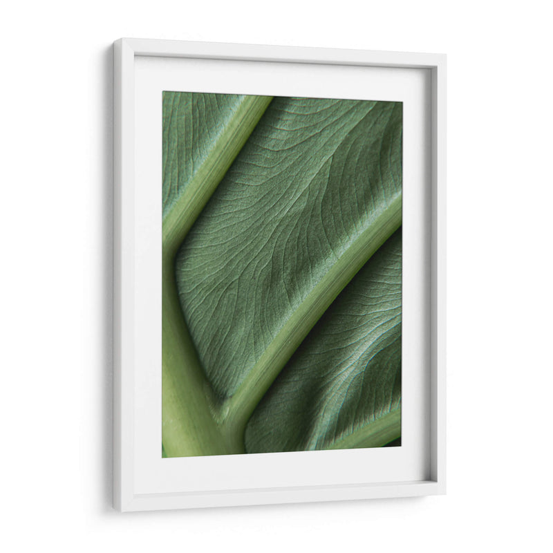 Piel verde - Barán | Cuadro decorativo de Canvas Lab