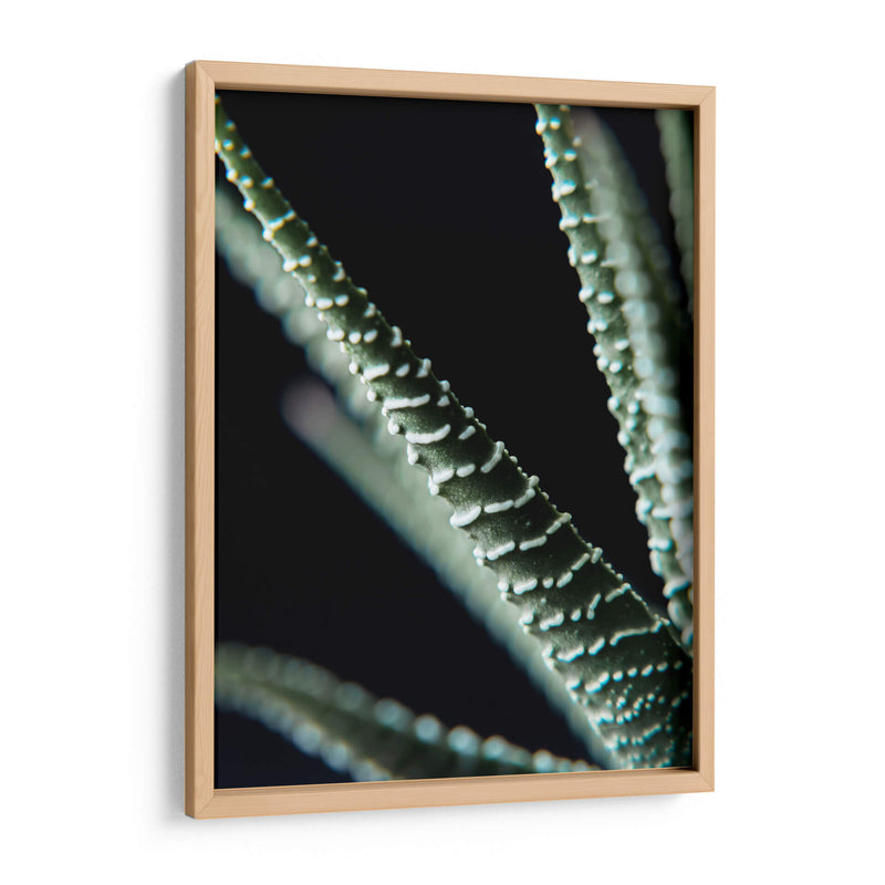 Planta de cerca - Barán | Cuadro decorativo de Canvas Lab