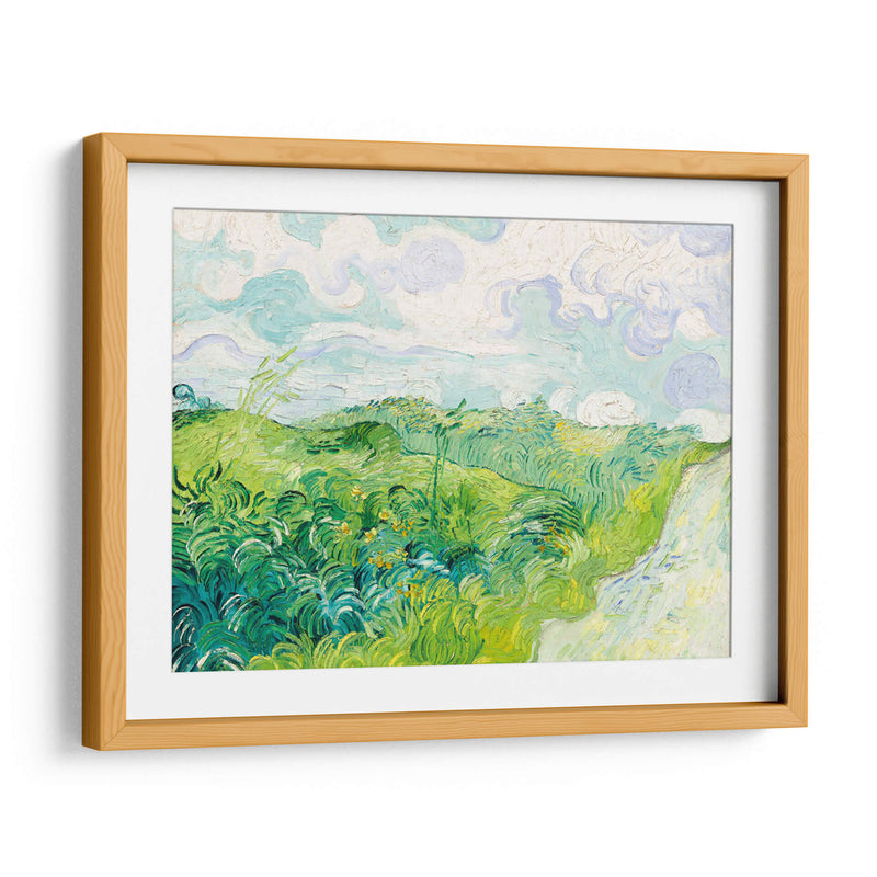 Campos de trigo verde, Auvers - Vincent Van Gogh | Cuadro decorativo de Canvas Lab