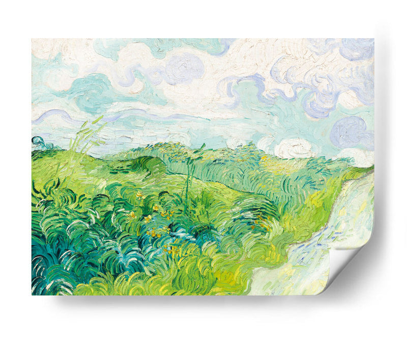 Campos de trigo verde, Auvers - Vincent Van Gogh | Cuadro decorativo de Canvas Lab