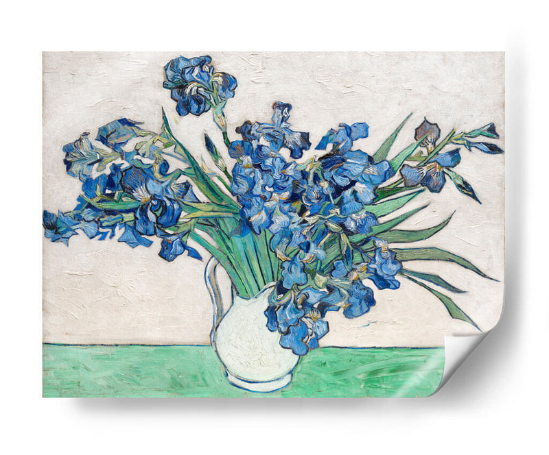 Lirios (1890) - Vincent Van Gogh | Cuadro decorativo de Canvas Lab