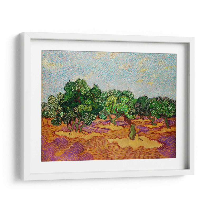Olivos - Vincent Van Gogh | Cuadro decorativo de Canvas Lab