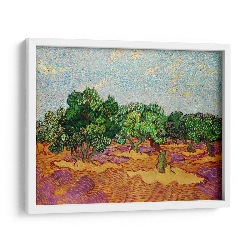 Olivos - Vincent Van Gogh | Cuadro decorativo de Canvas Lab