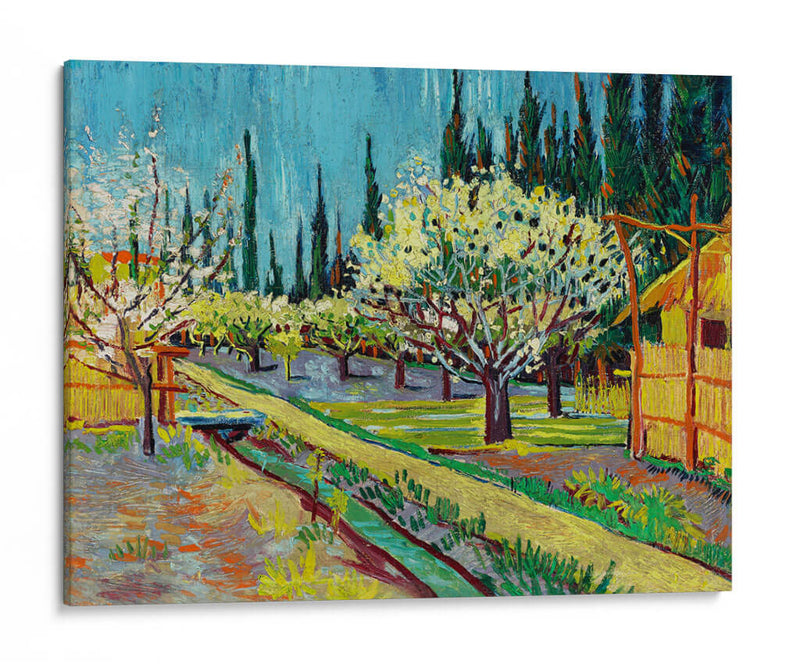 Orchard Bordered by Cypresses - Vincent Van Gogh | Cuadro decorativo de Canvas Lab