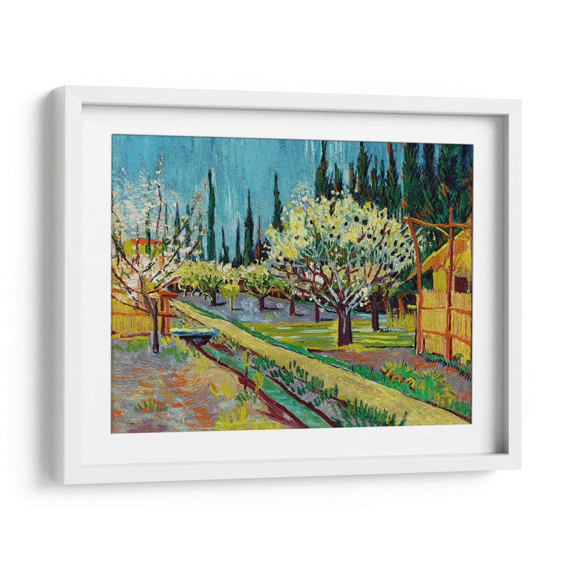 Orchard Bordered by Cypresses - Vincent Van Gogh | Cuadro decorativo de Canvas Lab