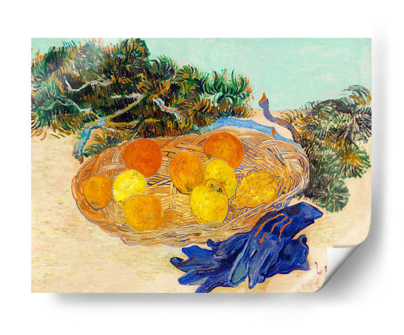 Bodegón de naranjas y limones con guantes azules - Vincent Bardou | Cuadro decorativo de Canvas Lab