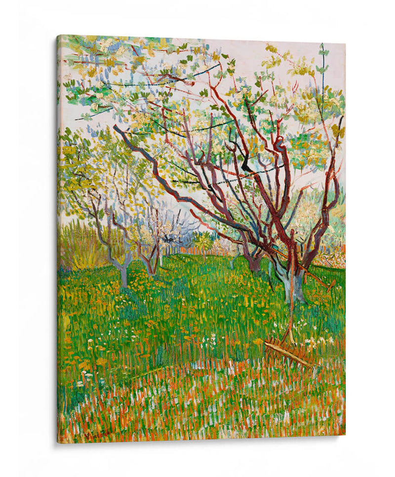 El huerto floreciente - Vincent Van Gogh | Cuadro decorativo de Canvas Lab
