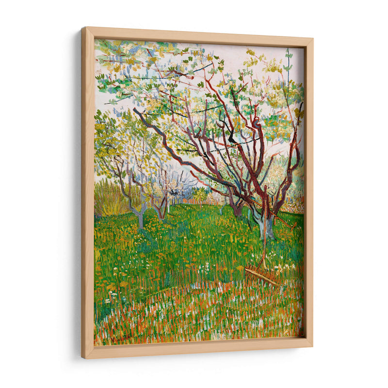 El huerto floreciente - Vincent Van Gogh | Cuadro decorativo de Canvas Lab