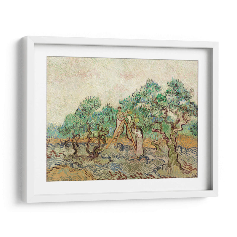 El huerto de olivos - Vincent Van Gogh | Cuadro decorativo de Canvas Lab