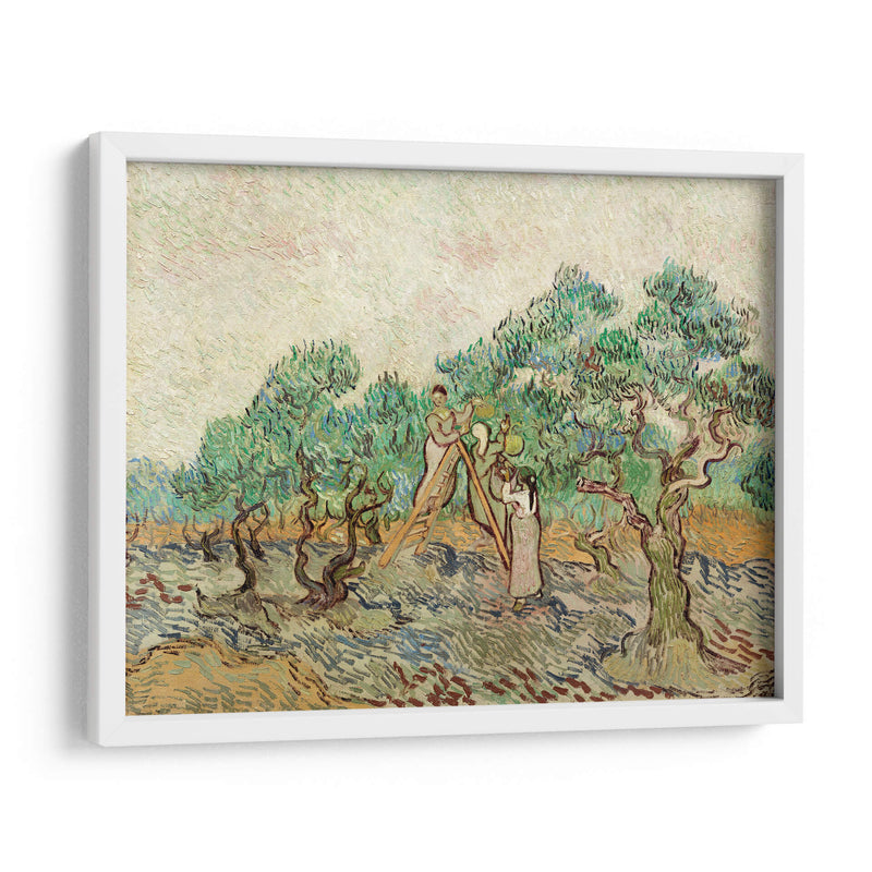 El huerto de olivos - Vincent Van Gogh | Cuadro decorativo de Canvas Lab