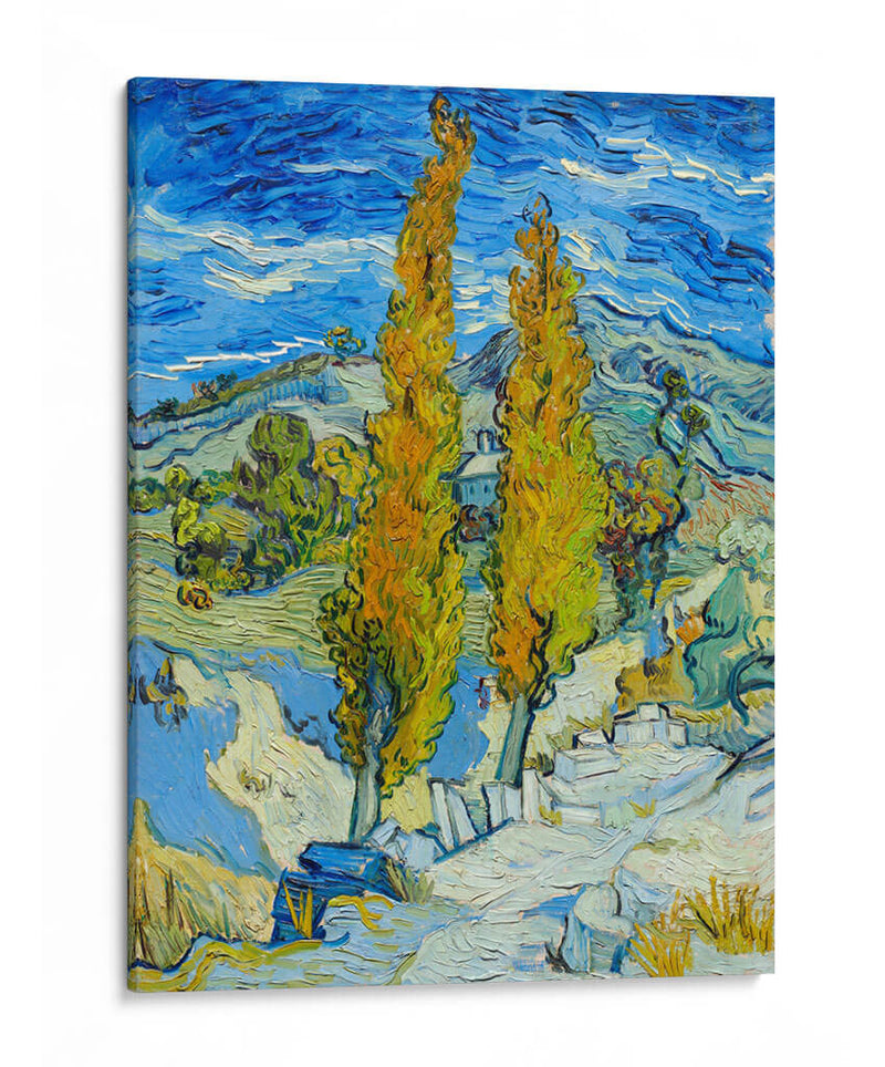 Los álamos en Saint-Rémy - Vincent Van Gogh | Cuadro decorativo de Canvas Lab