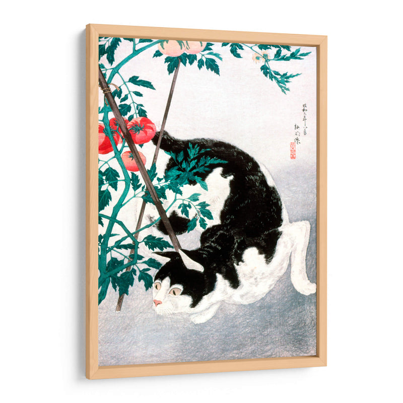Gato con planta de tomate - Hiroaki Takahashi | Cuadro decorativo de Canvas Lab
