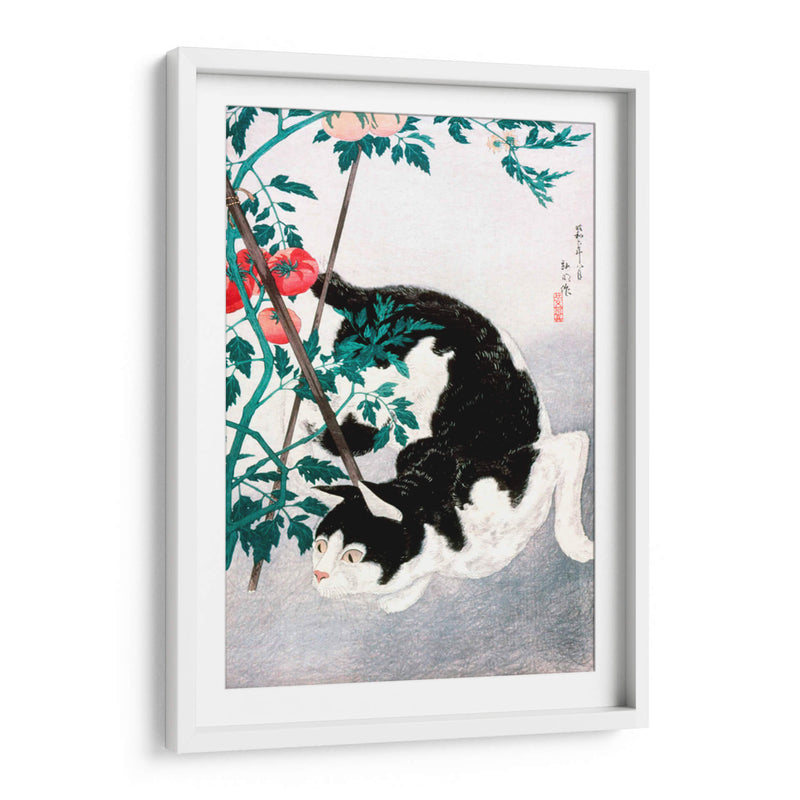 Gato con planta de tomate - Hiroaki Takahashi | Cuadro decorativo de Canvas Lab